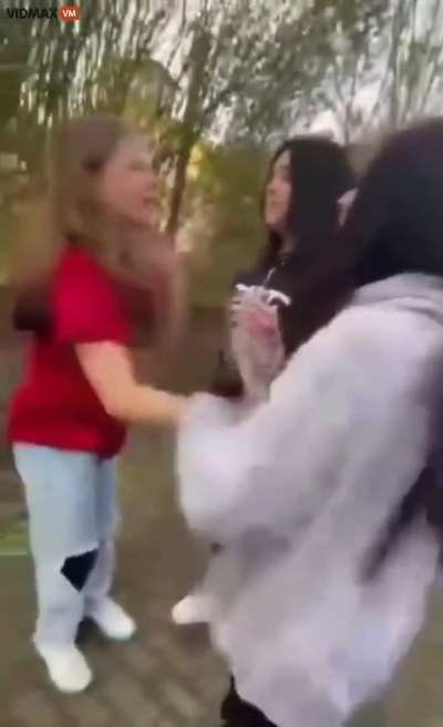 [German &amp;gt; English] This is a bullying video, apologies and trigger warning. Someone tweeted this with an inflammatory caption about &ldquo;Immigrants&rdquo;, I&rsquo;d like a general idea of what&rsquo;s being said in this video before I make judgements.