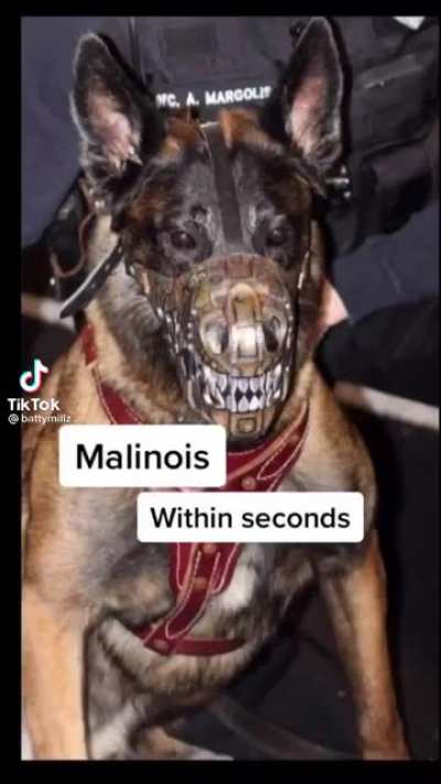 He&rsquo;ll give it a go