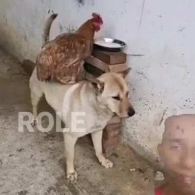 ???