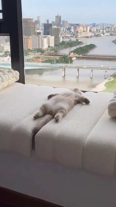 a well deserved rest after a long day of sleeping