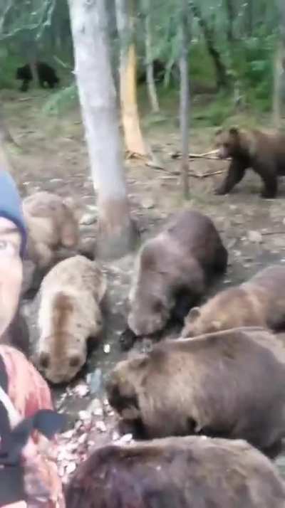 Feed the teddy bear