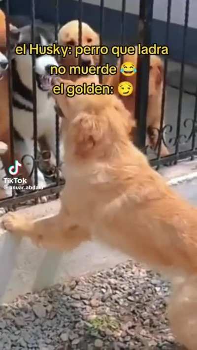 Osolol 