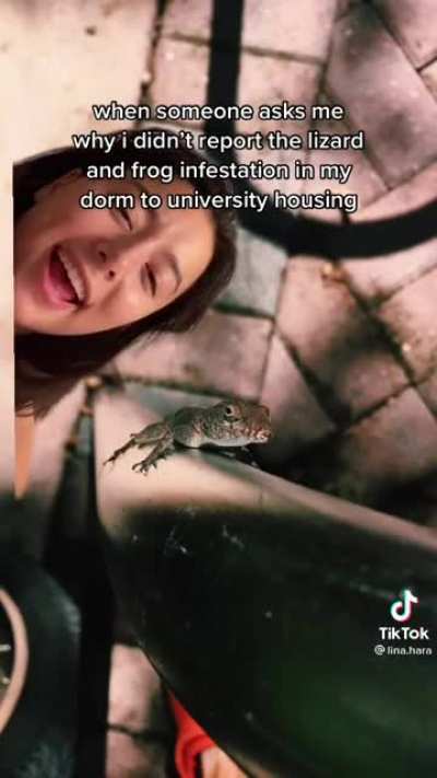 Amphibian rights