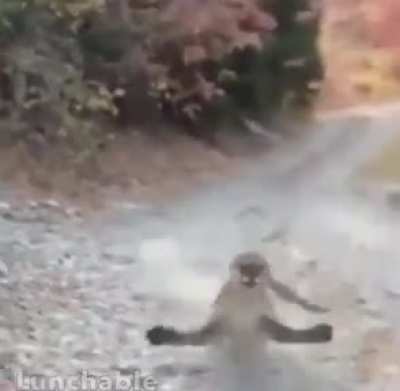 Watch this