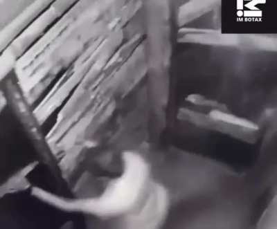 Maybe maybe maybe
