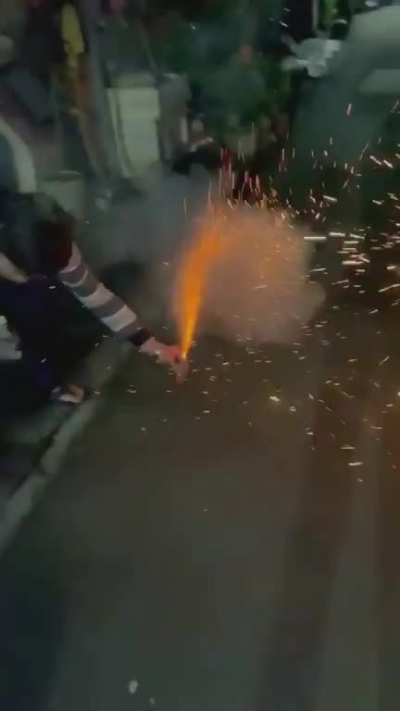 Arsonist dog