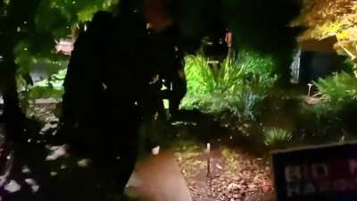 "I'm not touching you" as they steal a man's phone for filming [Portland, 11/6]