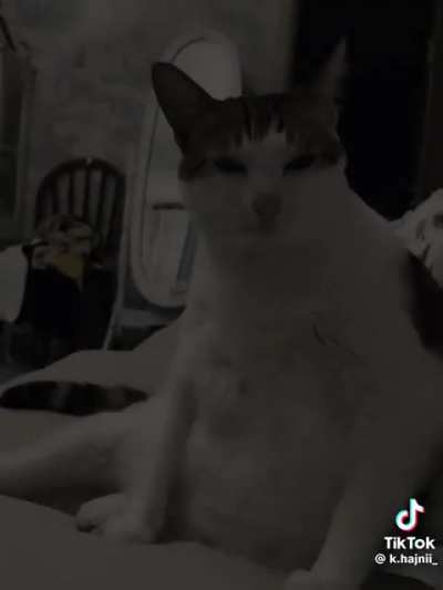 wunkus edit