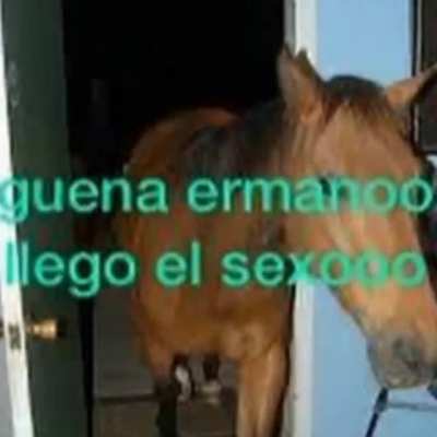 yo cuando orson