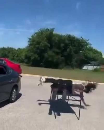 let&rsquo;s body slam this table while my buddy is on it