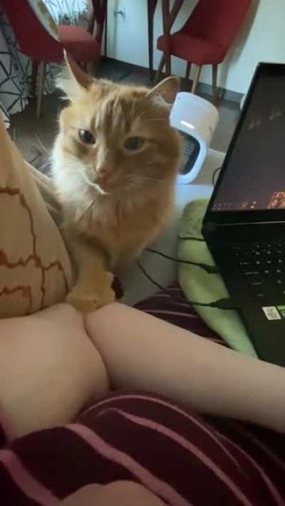 A gentle reminder that it&rsquo;s time for pets