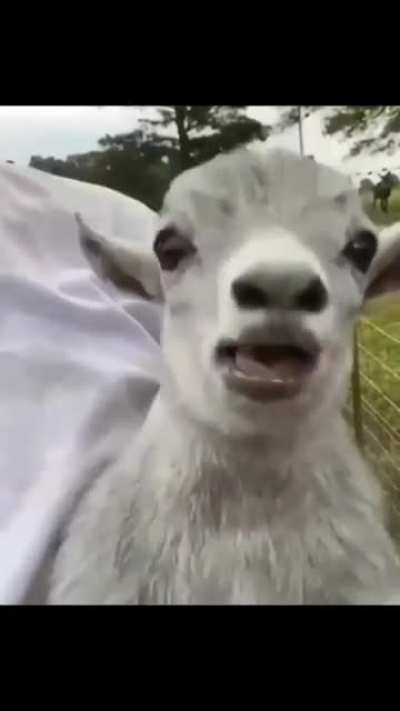 AAAAAAAAA