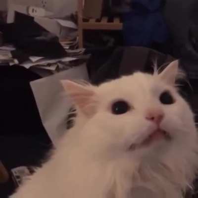 Mi Pana Travieso