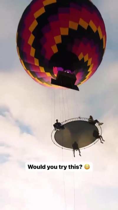 Who Would Try This 