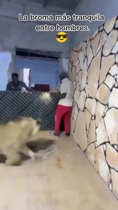 Brincadeira sadia entre homens