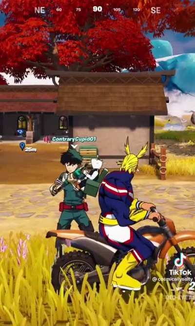Credit to cosmicallysaltly on TikTok