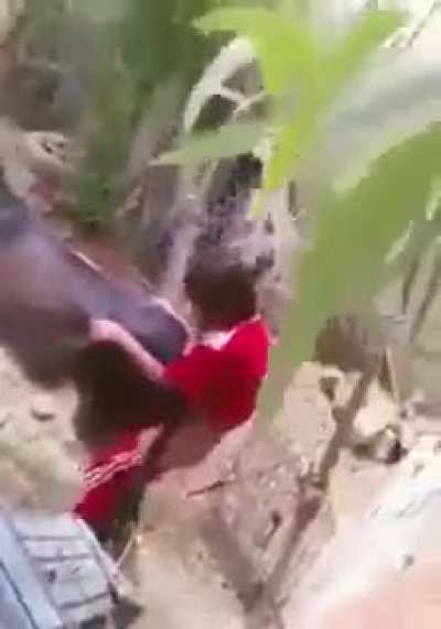 Nooooo genaro la burra nooo