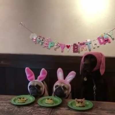 His cake.