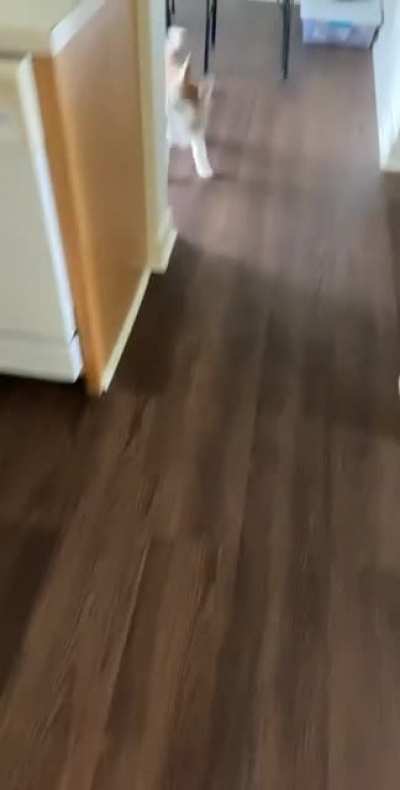 Are you gonna feed me dude&hellip;.wait for it..