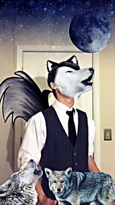 The Alpha Wolf