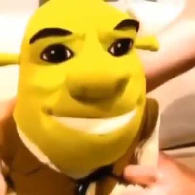 I need a toilet