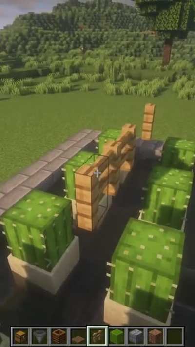 Bone Meal Farm in Minecraft