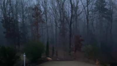 Just found this sub and I am in love with it. Here&rsquo;s one of the best rain videos I have, this was last weekend in NC, US.