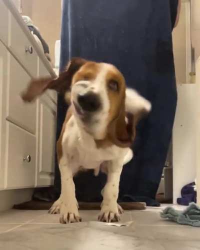 Finally captured the post-bath time shakes!