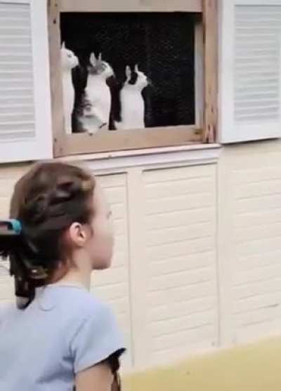 This game is messing with the cat&rsquo;s head