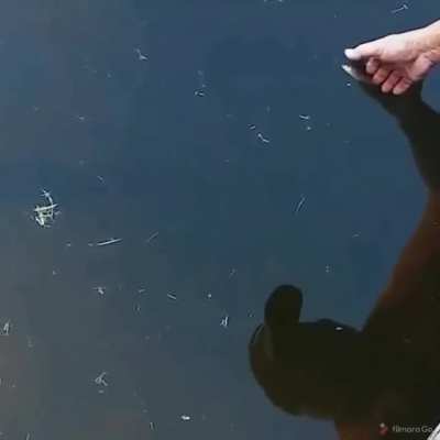 Well that hook
