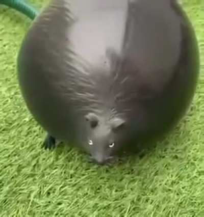A bit weird, but ok