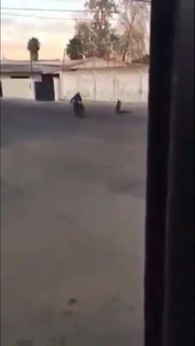 Kidnapping gone wrong