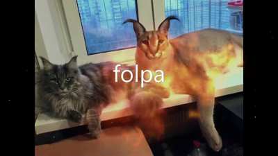 folpa