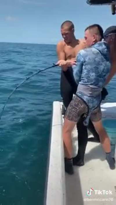 This grouper...,,,,