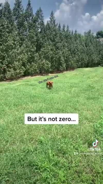 The chances aren&rsquo;t zero&hellip;..