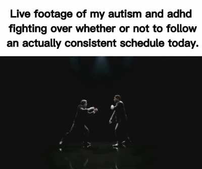 It always feels like my only two functioning brain cells are in a constant battle...