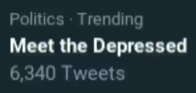2meirl4meirl
