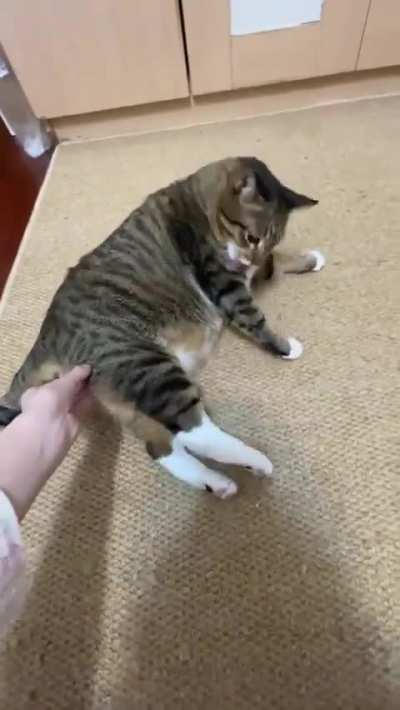 Не баг, а фича