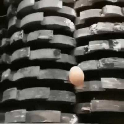 Blursed_ egg
