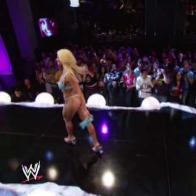 Torrie Wilson