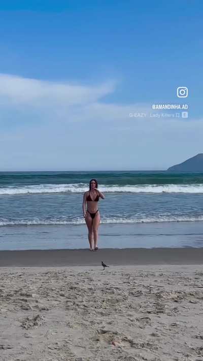 Amanda Ara&uacute;jo