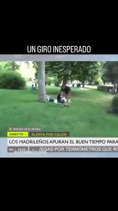 Invita
