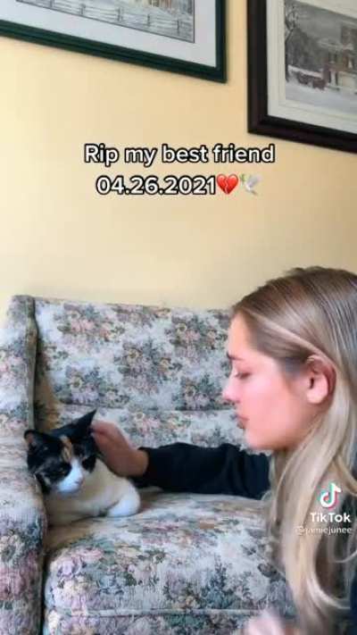 Imagine setting up a camera and recording a monologue to your vulnerable dying pet for TikTok likes