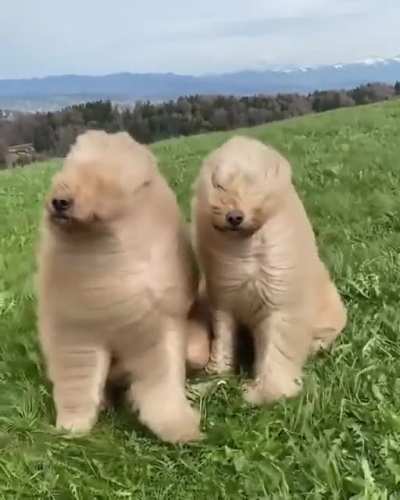 A bit windy