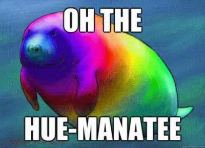 HUE-MANATEE