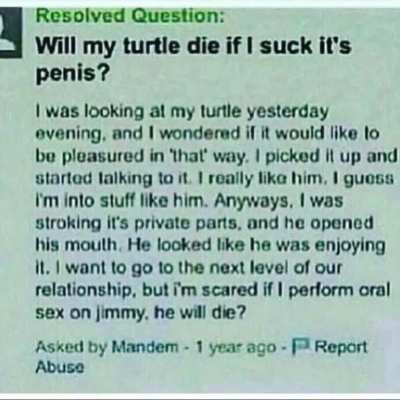 I hate the internet