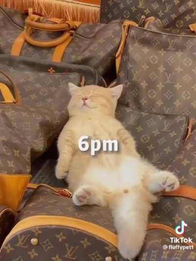 All day tired