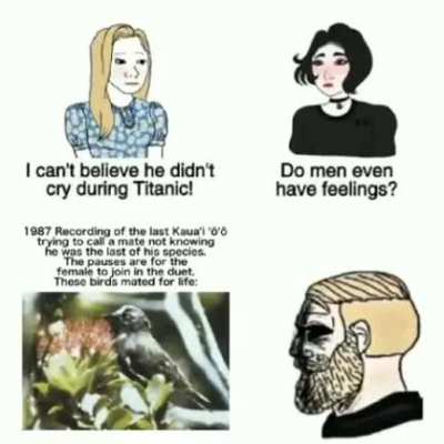 Es el &uacute;ltimo de su especie y est&aacute; llamando pareja sin saber que nunca llegara 😔