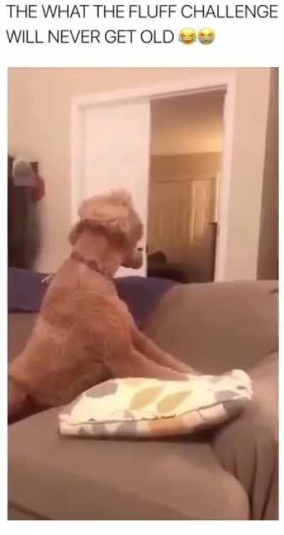 Where did he go?