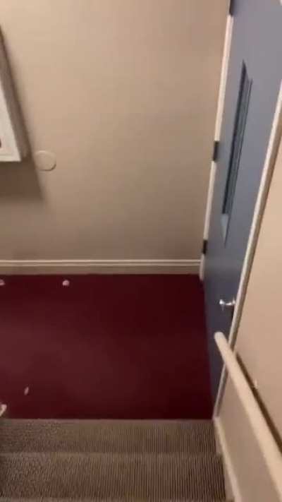 Run!